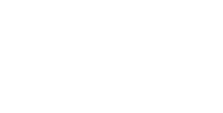 BE-Immobilien_Logo_weiss